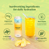 Pineapple electric 12 pack - STYLEFOX® 