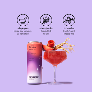 bestsellers (sparkling mocktail | 36 pack) - STYLEFOX® 