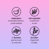 blackberry lavender (botanical soda | 24 pack) - STYLEFOX® 