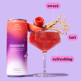 dry jan special bundle (24 pack) - STYLEFOX® 