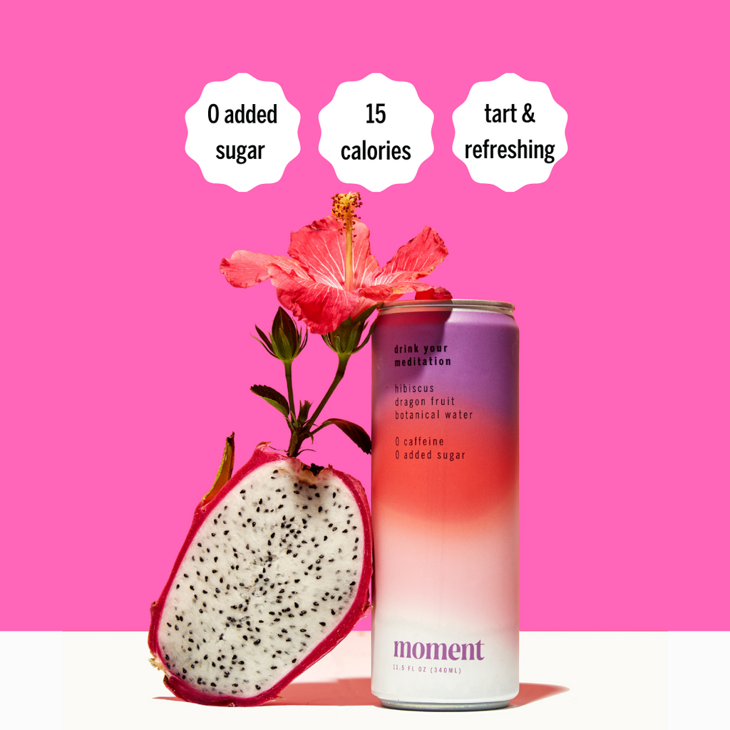 hibiscus dragon fruit (botanical tea | 24 pack)