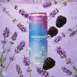 blackberry lavender (botanical soda | 24 pack) - STYLEFOX® 