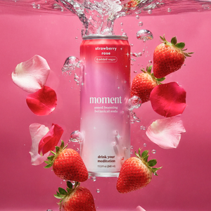 strawberry rose (botanical soda | 12 pack) - STYLEFOX® 