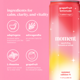 grapefruit lemonade 12 pack