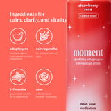 strawberry rose (botanical soda | 12 pack) - STYLEFOX® 