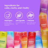 bestsellers (sparkling & still mocktail | 36 pack) - STYLEFOX® 