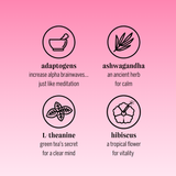 hibiscus dragon fruit (botanical tea | 24 pack)